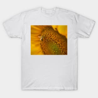 Bee on a sunflower working, macro shot T-Shirt